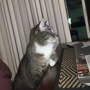 Meet your Posher, Staci